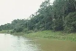 Amazon River in Amazon rainforest.