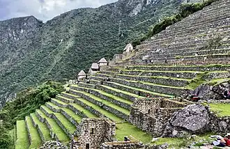 Stepped Inca agricultural terraces on a steep slope.