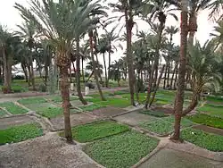 Shatt Al-Ghandour gardens