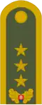 Generálporučík[47] (Slovak Ground Forces)