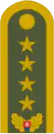 Generál (Ground Forces of the Slovak Republic)[38]