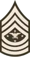 Senior Enlisted Advisor to the Chairman