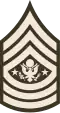 Sergeant Major of the Army