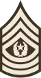 Command Sergeant Major