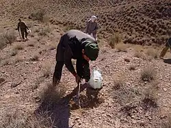 Photograph of a person working the soil in the foreground, with two others in the background.