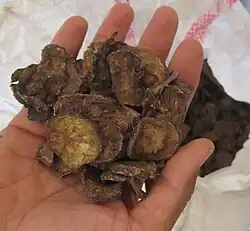 Palm of a hand above a sack holding a handful of dirty brown vegetable slices.