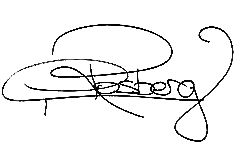 Nico Rosberg signature