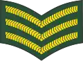 Sergeant (Barbados Regiment)[50]
