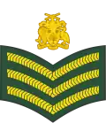 Staff sergeant (Barbados Regiment)[31]