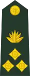 Brigadier general (Bengali: ব্রিগেডিয়ার জেনারেল, romanized:&nbsp;Brigēḍiẏāra jēnārēla) (Bangladesh Army)[10]