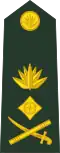 Lieutenant general লেফটেন্যান্ট জেনারেল[8] (Bangladesh Army)