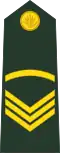 Sergeant (Bengali: সার্জেন্ট, romanized:&nbsp;Sārjēnṭa) (Bangladesh Army)[49]