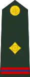 Warrant officer (Bengali: ওয়ারেন্ট অফিসার, romanized:&nbsp;Ōẏārēnṭa aphisāra) (Bangladesh Army)[57]
