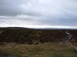 Dark coloured moorland stretching into the distance with grass in the foreground