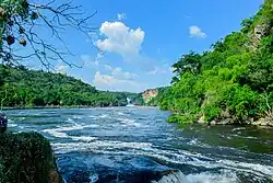 A photograph of a large, rapidly-flowing river, with dense foliage on both banks, and a blue sky above