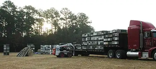 US migratory commercial beekeeper moving many hives of spring bees from South Carolina to Maine for blueberry pollination