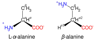 Diagrammatic comparison of the structures of β-alanine and α-alanine