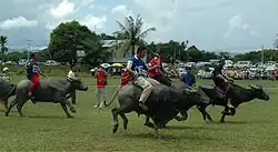 Racing at Babulang 2006