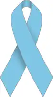 Illustration of a light blue ribbon with its two ends crossing