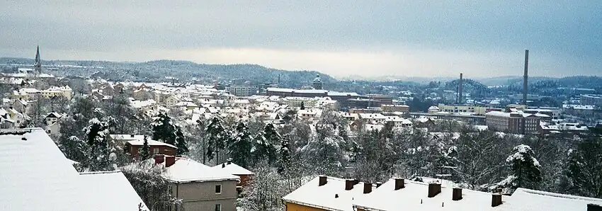 Winter panorama