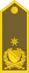 Brigadni general (Bosnian Ground Forces)[13]