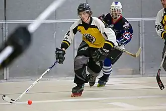 Inline skater hockey