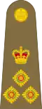 Brigadier (British Army)[29]