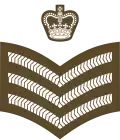 Staff sergeant (Antigua and Barbuda Regiment)[30]