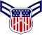 Cadet airman first class insignia