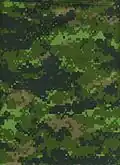 CADPAT was the first pixellated digital camouflage pattern to be issued, in 2002.