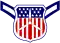 Cadet airman insignia
