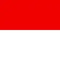 Flag of Solothurn