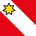 Flag of Thun