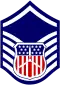 Cadet master sergeant insignia