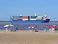 Container ship, traveling downstream by the city of Ramallo, Argentina