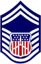Cadet senior master sergeant insignia