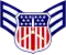 Cadet senior airman insignia