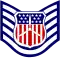Cadet technical sergeant insignia