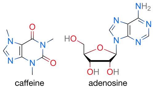 Two skeletal formulas: left&nbsp;– caffeine, right&nbsp;– adenosine.