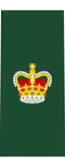 Insignia of a warrant officer