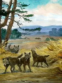 Painting of five dire wolves