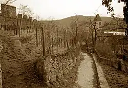 Vineyards cover the steep mountainsides; the walls of a ruined castle rise above the vineyards and a narrow path leads to a small village.