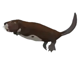 Castoroides dilophidus