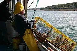 Hauling in a crab trap