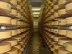 Beaufort cheeses ripening in a cellar