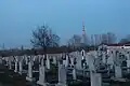 View from city cemetery in Dobrich, looking toward Dobrich TV tower.
