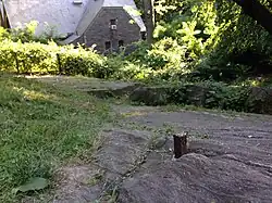 Randel's surveying bolt driven into rock