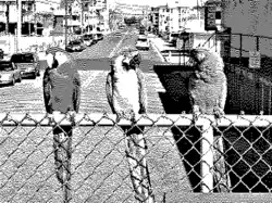 640&nbsp;×&nbsp;200 in 2 colors