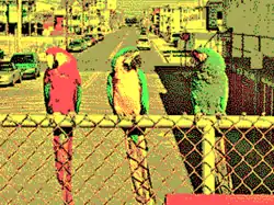 320&nbsp;×&nbsp;200 in 4 colors palette 0