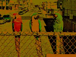 320&nbsp;×&nbsp;200 in 4 colors palette 0 low intensity